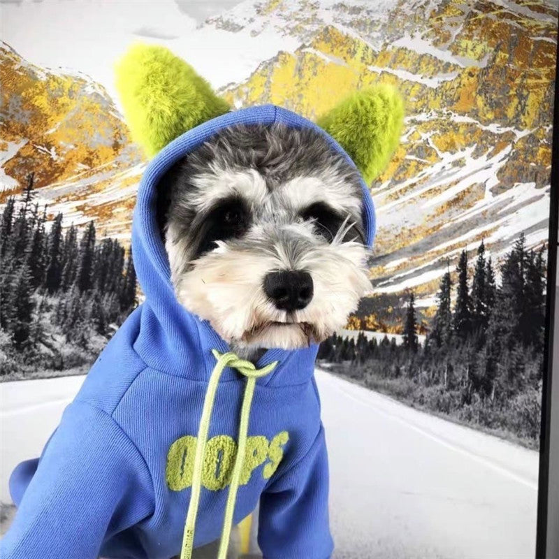 ded0aec65437aa3527e7e094392a8ec