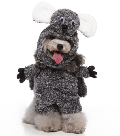 Pet Halloween Costume