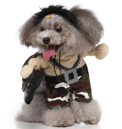 Pet Halloween Costume