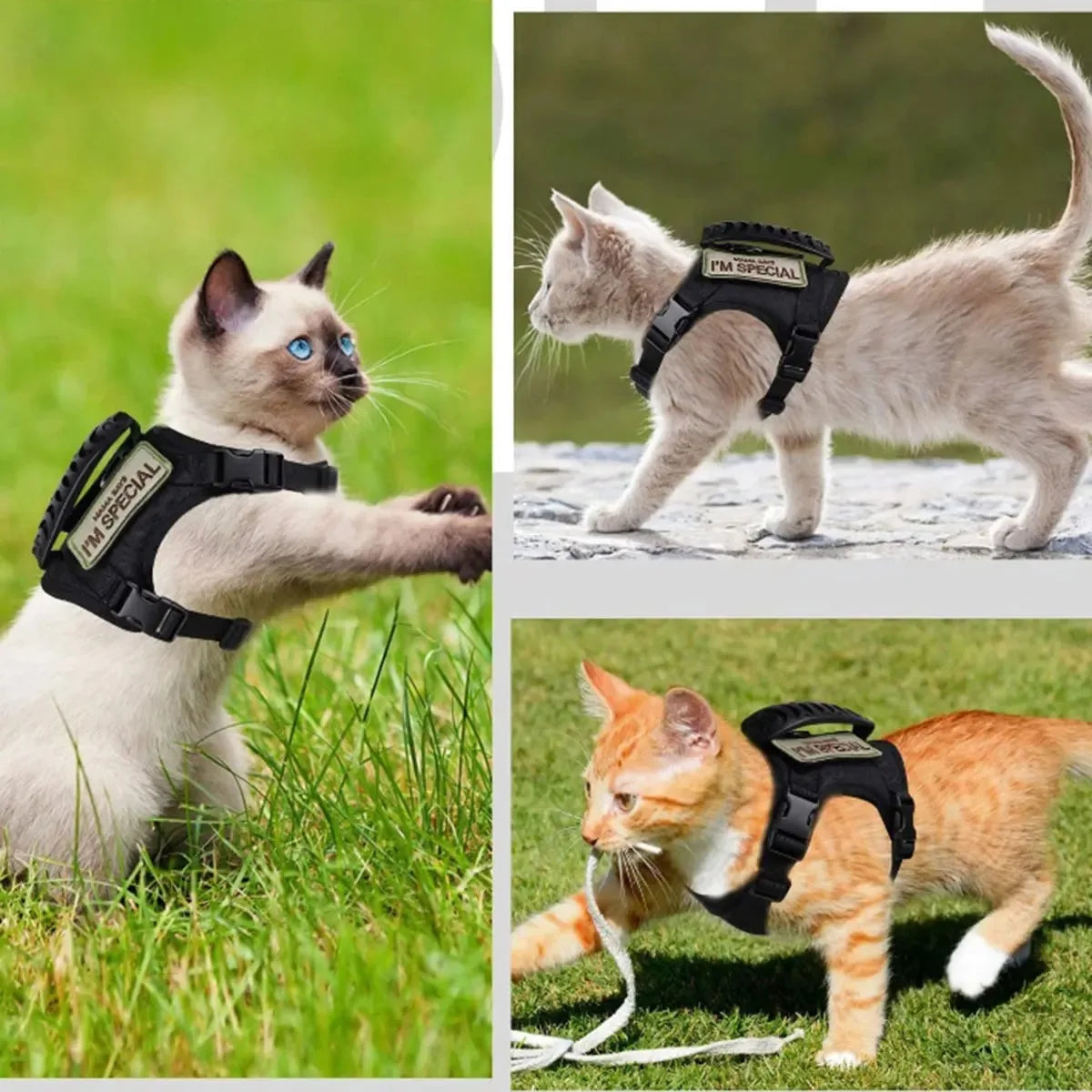 Tactical Cat Harness