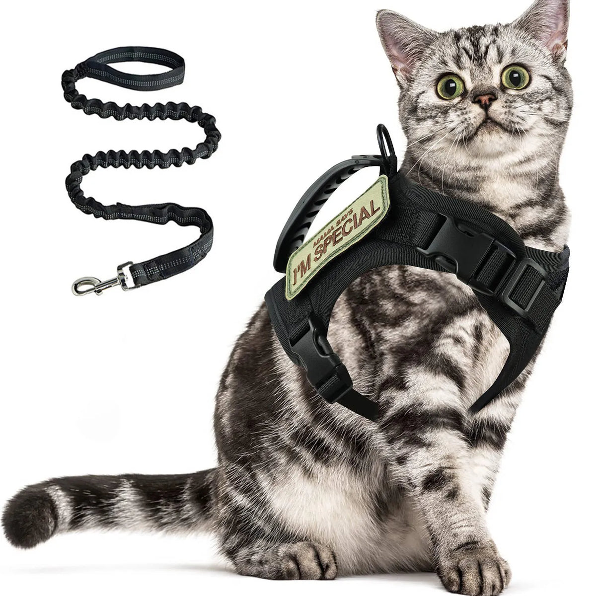 Tactical Cat Harness