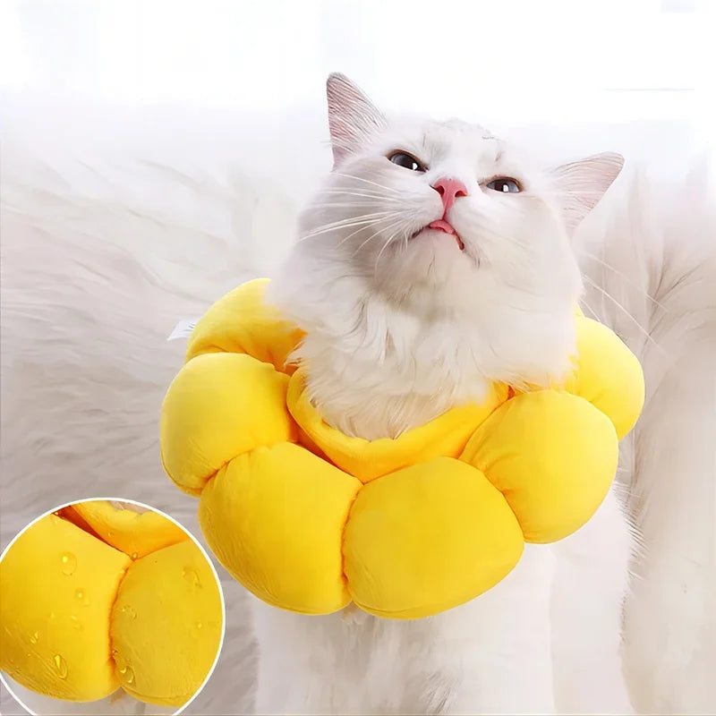 Pets Surgery Protective Collar