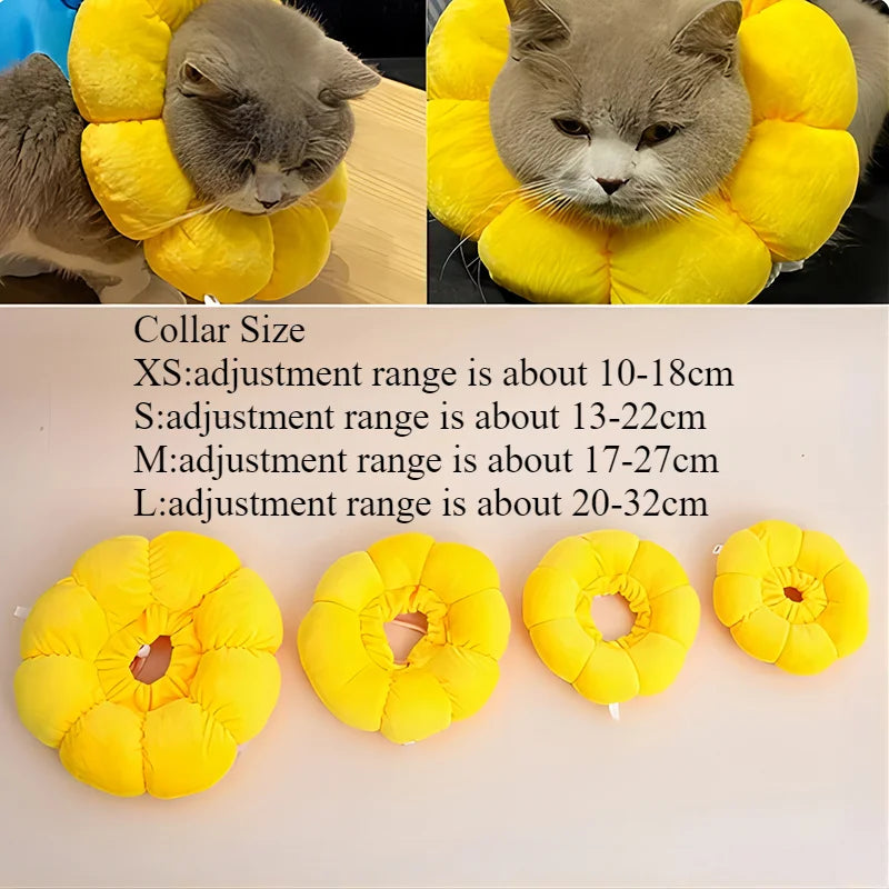 Pets Surgery Protective Collar