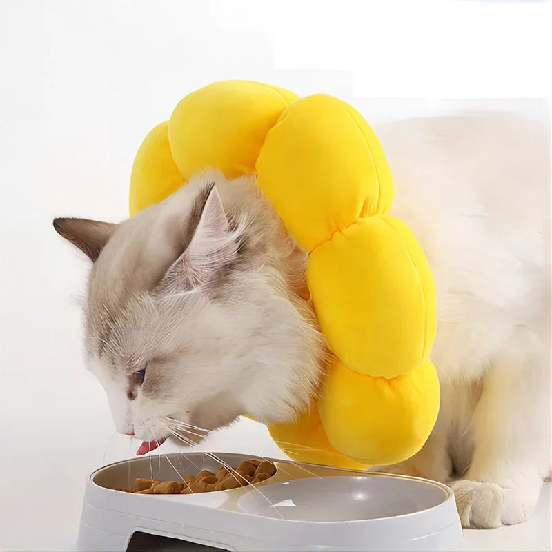 Pets Surgery Protective Collar