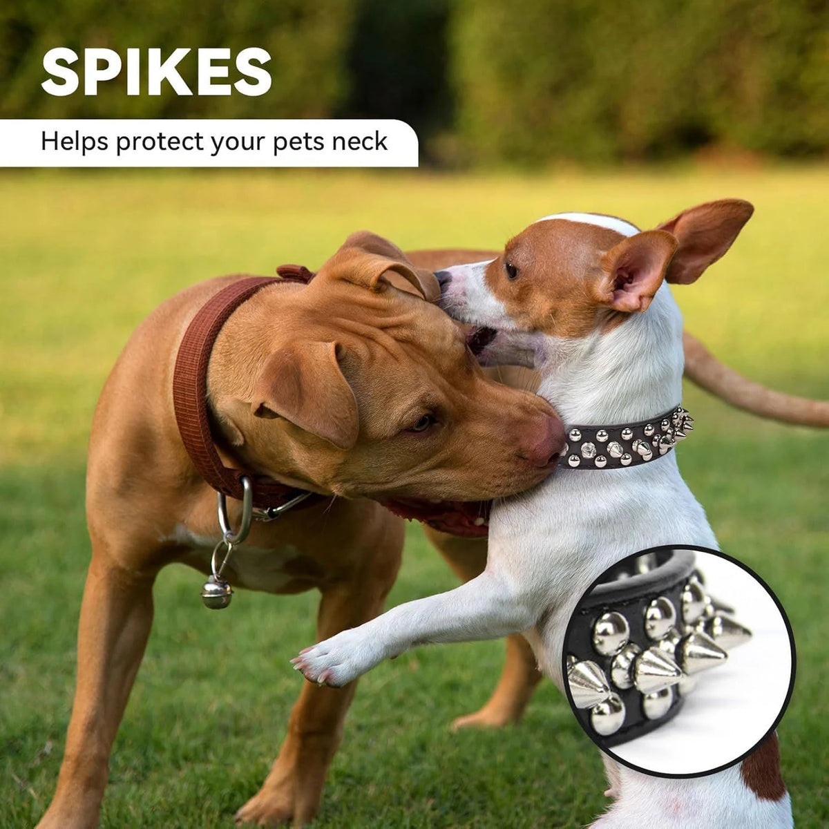 Spiked Pet Collar