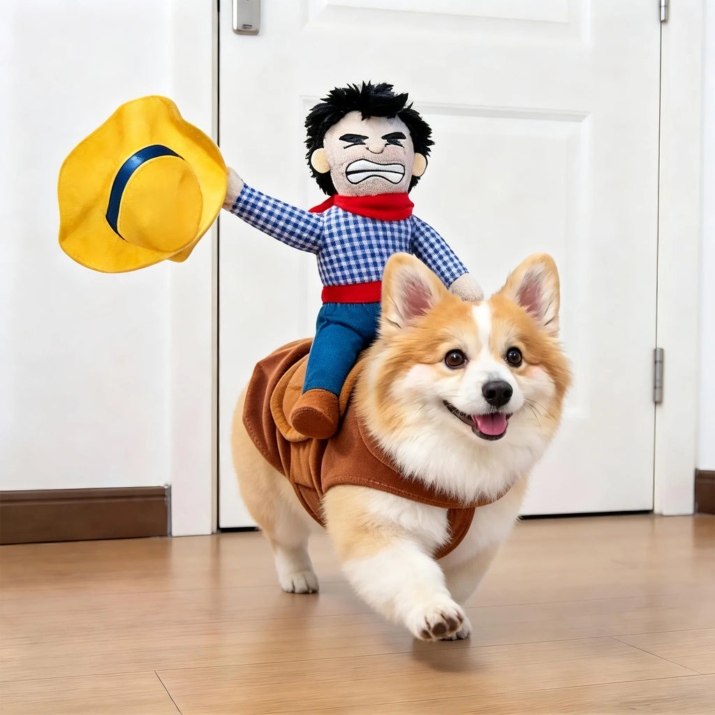Cross-border pet clothing funny  transformation costume Halloween outfit