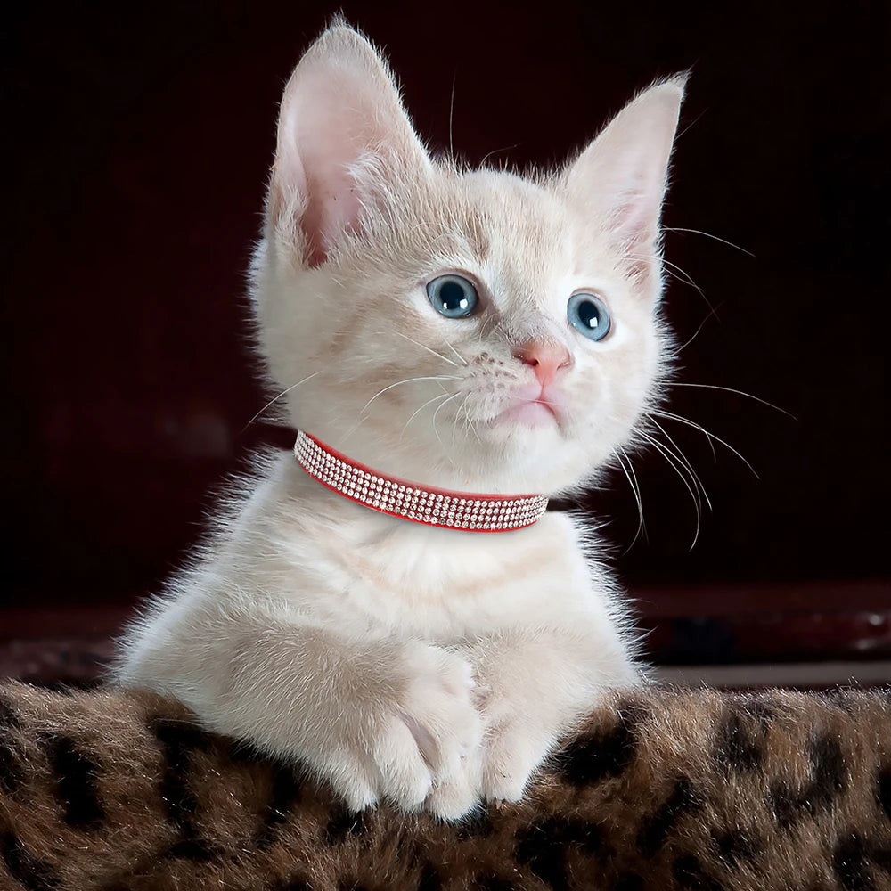 Cute Bling Rhinestone Collar