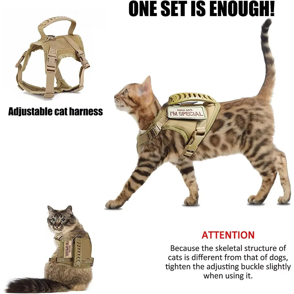 Tactical Cat Harness