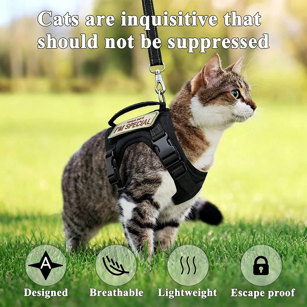 Tactical Cat Harness