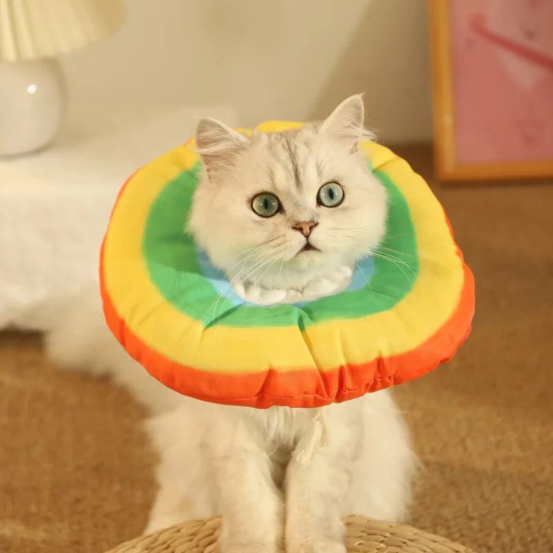 Cat Healing Protective Collar