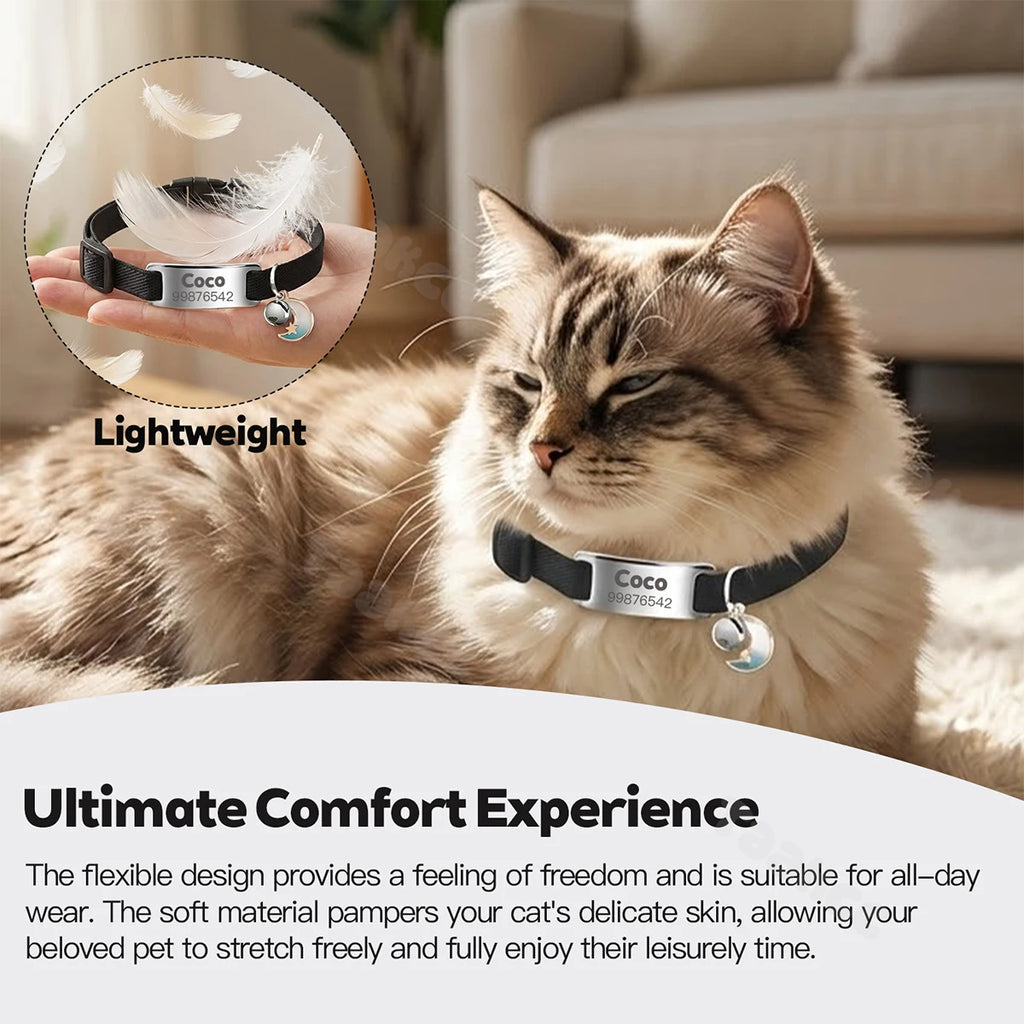 Elastic Cat Collar to get engraved