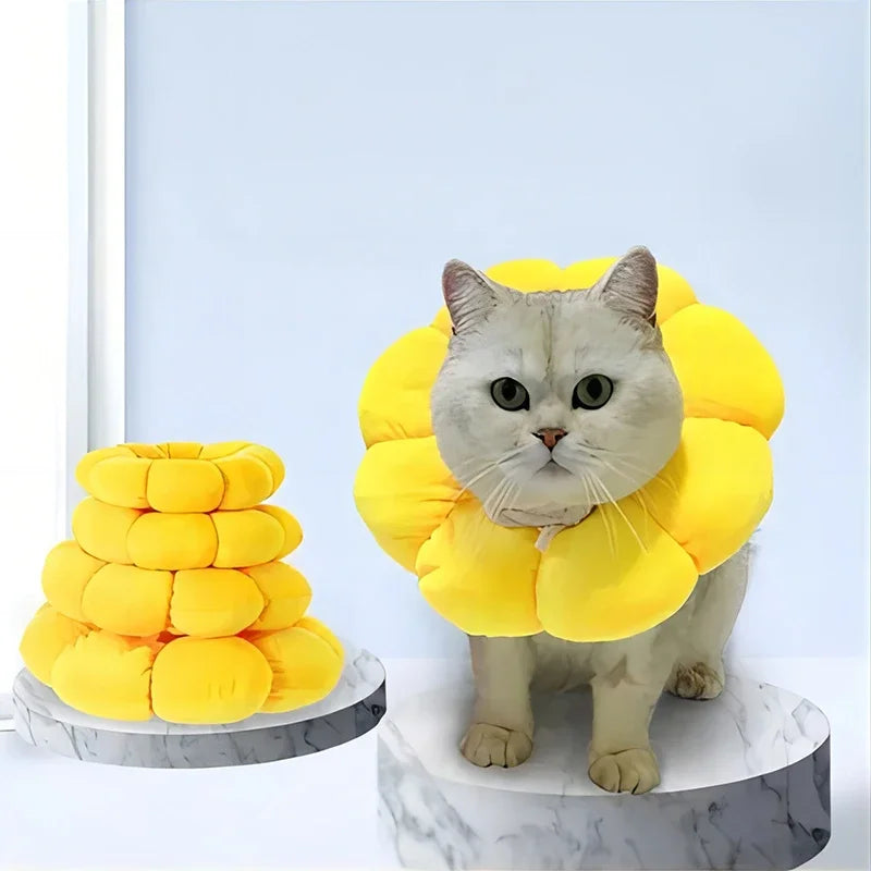 Pets Surgery Protective Collar