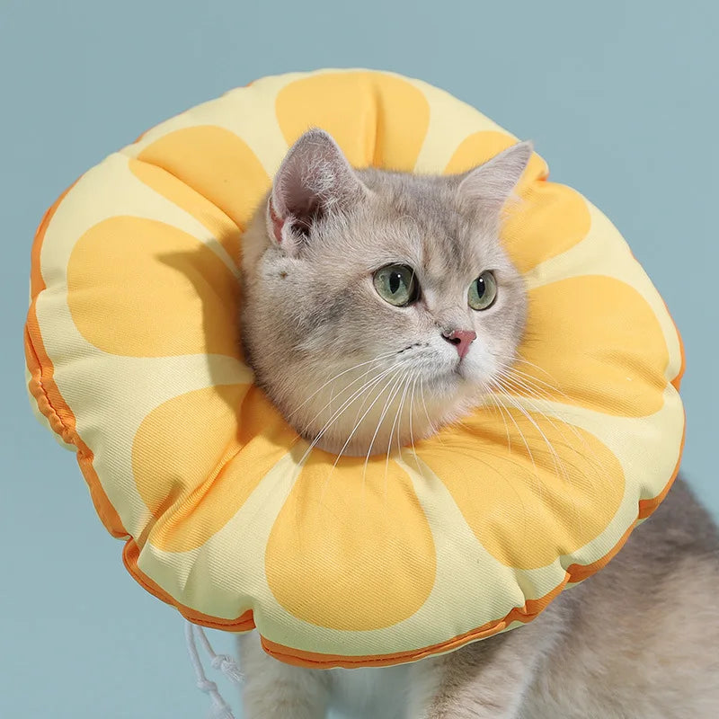 Cat Healing Protective Collar