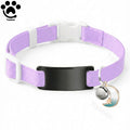 Elastic Cat Collar to get engraved