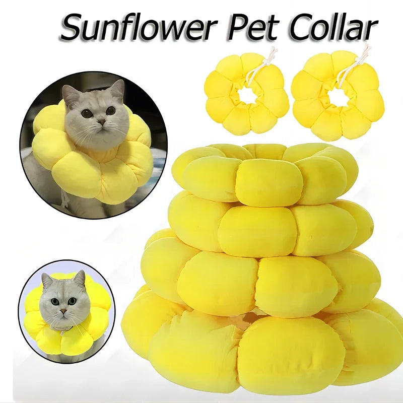 Pets Surgery Protective Collar