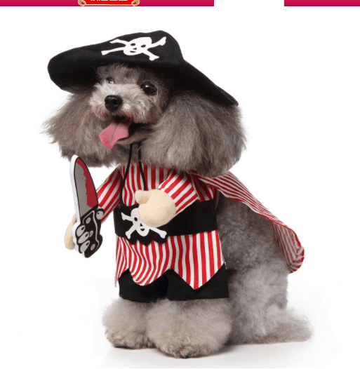 Pet Halloween Costume