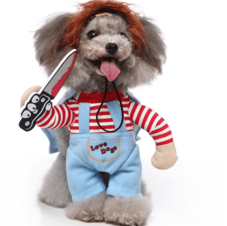 Pet Halloween Costume