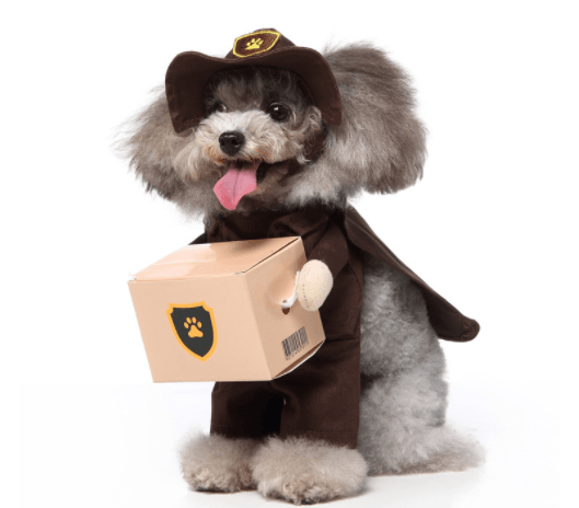 Pet Halloween Costume