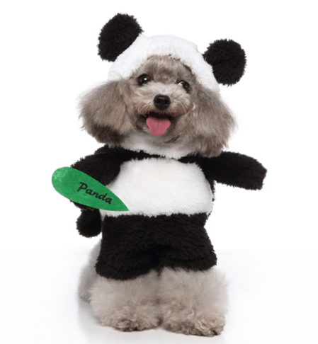 Pet Halloween Costume
