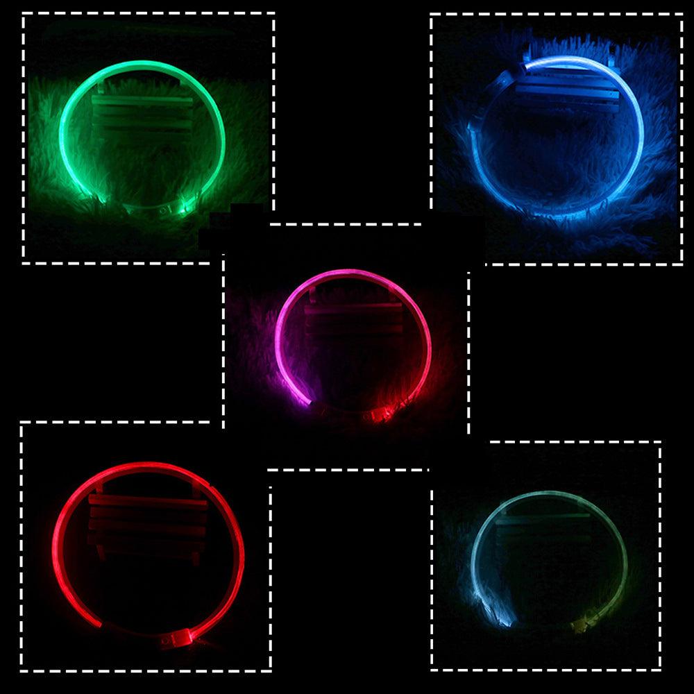 Usb Rechargeable Glow-In-The-Dark Pet Collar