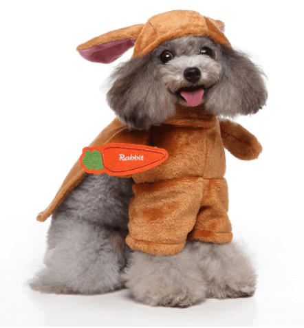 Pet Halloween Costume